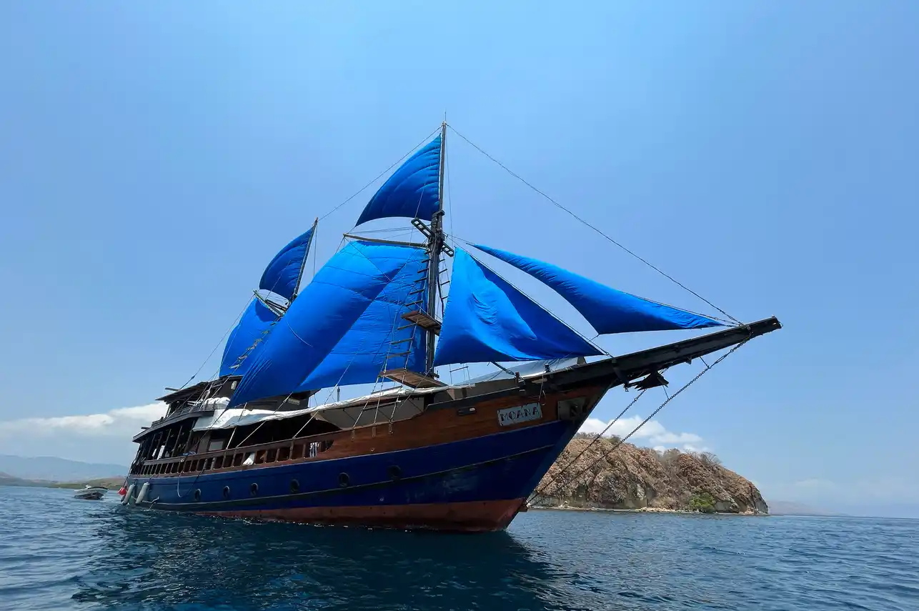 Moana